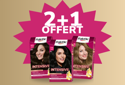 Palette 2+1 offert !
