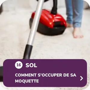 Comment s’occuper de sa moquette ?