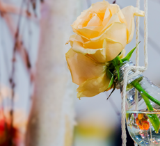 DIY : fabriquer des soliflores avec des anciennes ampoules !