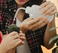 Comment fabriquer son mini potager pour enfants ?