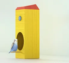 DIY : fabriquer une mangeoire pour oiseaux