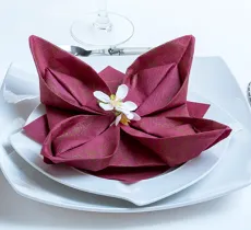 Comment plier ses serviettes en forme de lotus ?