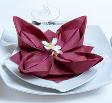 Comment plier ses serviettes en forme de lotus ?