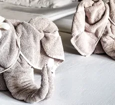 Comment plier les serviettes de la salle de bain en forme d’éléphant ?