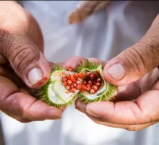 Tous les bienfaits beauté de l’huile de roucou !