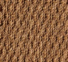 Comment entretenir le jonc de mer ?