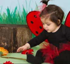 DIY : comment fabriquer un déguisement de coccinelle ?