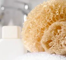 FLEUR DE DOUCHE, KONJAC, LOOFAH OU ÉPONGE DE MER : QUELLE ÉPONGE POUR SE LAVER ? 
