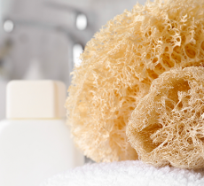 FLEUR DE DOUCHE, KONJAC, LOOFAH OU ÉPONGE DE MER : QUELLE ÉPONGE POUR SE LAVER ? 