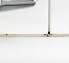 NOUVELLES ASTUCES NATURELLES POUR NETTOYER LES JOINTS DE SALLE DE BAIN