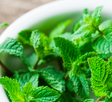 LES VERTUS DE LA MENTHE EN SOIN BEAUTÉ