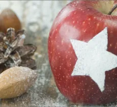 Comment fabriquer des pochoirs de Noël ?