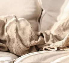 COMMENT ENLEVER LES POILS DE CHATS ET DE CHIENS DANS SON INTÉRIEUR ? 