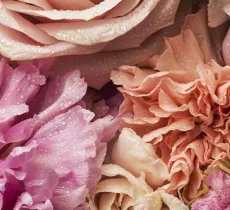 6 eaux florales à adopter en routine beauté !