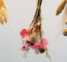 On transforme ses bouquets en suspensions de fleurs séchées