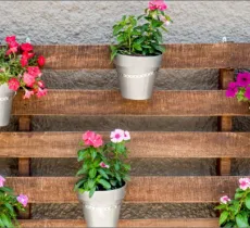 DIY DÉCO TERRASSE : UNE CLOISON VÉGÉTALE LUMINEUSE  