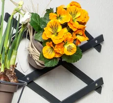 COMMENT FIXER UN TREILLAGE SANS PERCER LE MUR ? 