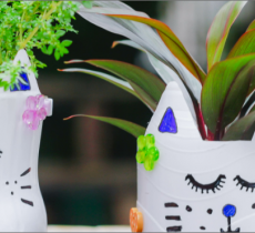 Comment recycler des bouteilles en plastique ? nos idées de diy !