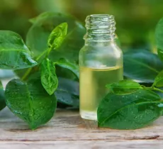 LES BIENFAITS DES HUILES ESSENTIELLES POUR LES CHEVEUX GRAS 