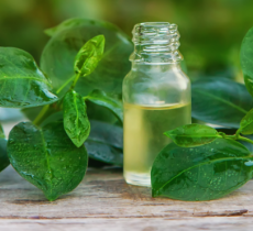 LES BIENFAITS DES HUILES ESSENTIELLES POUR LES CHEVEUX GRAS 