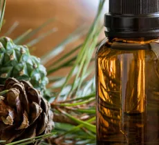 QUELLES HUILES ESSENTIELLES CONTRE LES MITES TEXTILES ? 