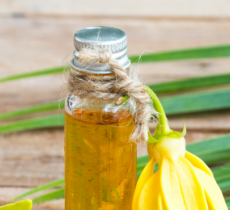 LES BIENFAITS DES HUILES ESSENTIELLES POUR LES CHEVEUX 