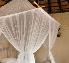 Comment lutter contre les moustiques ? nos 5 astuces ! 