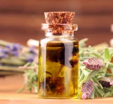 QUELLES HUILES ESSENTIELLES CONTRE LES MOUCHES ? NOS ASTUCES 