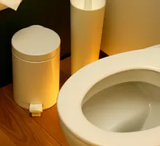 COMMENT NETTOYER LA LUNETTE DE SES WC ?