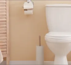 QUELS ÉCO-GESTES APPLIQUER AUX TOILETTES ?