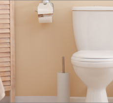 QUELS ÉCO-GESTES APPLIQUER AUX TOILETTES ?