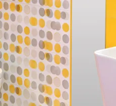 COMMENT NETTOYER UN SANIBROYEUR ?