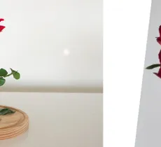 DIY FÊTE DES MÈRES : COMMENT FAIRE UNE ROSE ÉTERNELLE ? 