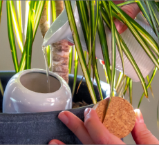 ÉCONOMIE D’EAU, DÉPART EN VACANCES...  NOS ASTUCES « ARROSAGE MALIN » 