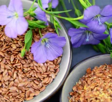 LES BIENFAITS DU GEL DE LIN POUR CHEVEUX 