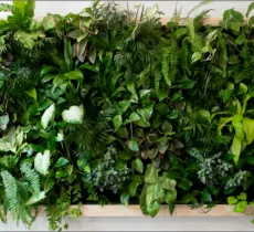 DIY : ON FABRIQUE UN MUR VÉGÉTAL SOUS FORME DE TABLEAU VIVANT 