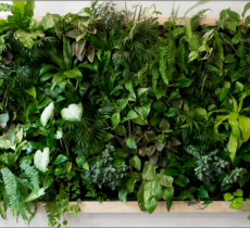 DIY : ON FABRIQUE UN MUR VÉGÉTAL SOUS FORME DE TABLEAU VIVANT 