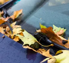 COMMENT ENLEVER DE LA RÉSINE SUR SA VOITURE ? 