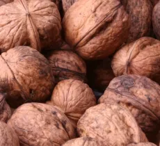 COMMENT COLORER SES CHEVEUX AVEC DU BROU DE NOIX ? 