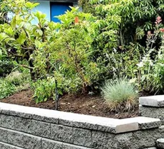 4 DÉSHERBANTS MAISON POUR L’ENTRETIEN DE VOTRE JARDIN 