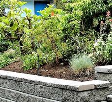 4 DÉSHERBANTS MAISON POUR L’ENTRETIEN DE VOTRE JARDIN 