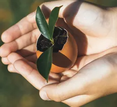 NOS ASTUCES POUR RECYCLER SES COQUILLES D’ŒUF