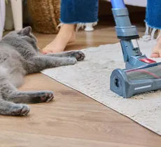 QUELS SONT LES NETTOYANTS SOL NON TOXIQUES POUR LES ANIMAUX ?