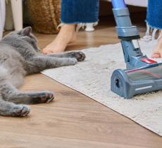 QUELS SONT LES NETTOYANTS SOL NON TOXIQUES POUR LES ANIMAUX ? 
