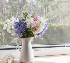 COMMENT ÉLOIGNER LES MOUCHES ET LES MOUSTIQUES ? 