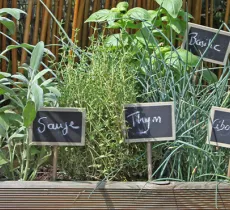 COMMENT CRÉER UN JARDIN AROMATIQUE SUR SON BALCON ? 