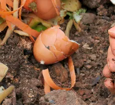 VOS ECO-GESTES PRENNENT L’AIR DANS LE JARDIN 