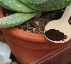  Comment faire son engrais maison pour le jardin, le potager ou les plantes d'intérieur ?