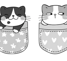 DIY facile : dessiner un petit chat qui sort de la poche d’un t-shirt 