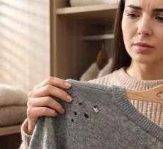 Quelle est la différence entre les mites alimentaires et mites vestimentaires ? 